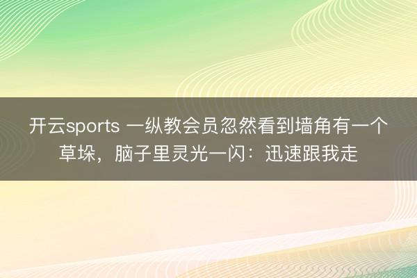 开云sports 一纵教会员忽然看到墙角有一个草垛，脑子里灵光一闪：迅速跟我走