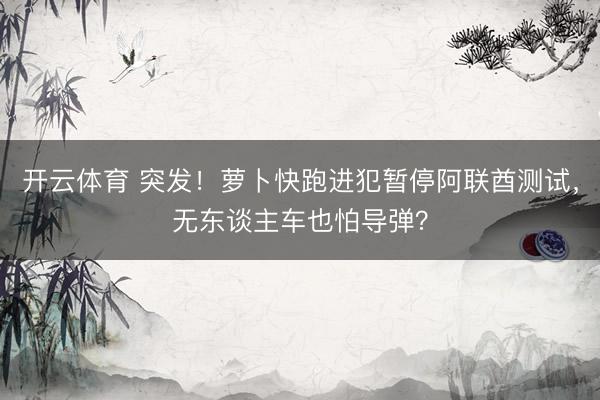 开云体育 突发!萝卜快跑进犯暂停阿联酋测试,无东谈主车也怕导弹?